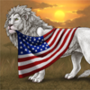 American Flag Decor